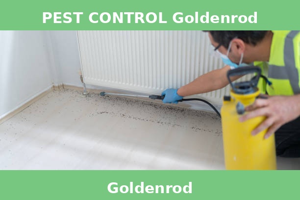 PEST CONTROL Goldenrod